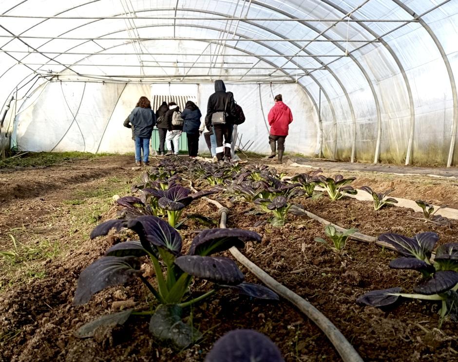 Des jeunes en formation découvrent le Jardin de Prélude