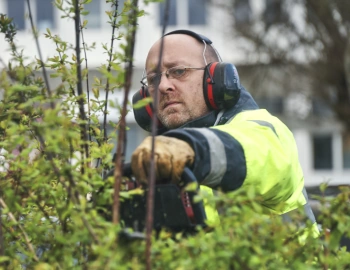 Activité d'entretien-de zones naturelles et d'espaces verts par Prélude à Châteaulin