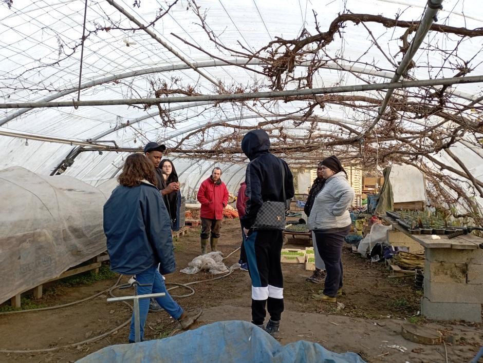 Jeunes en visite dans la pépinière du Jardin de Prélude