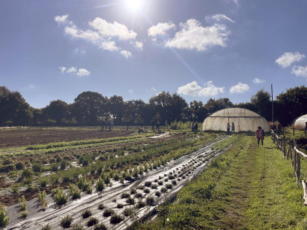 Champs et serres du jardin Prélude Brest Guipavas
